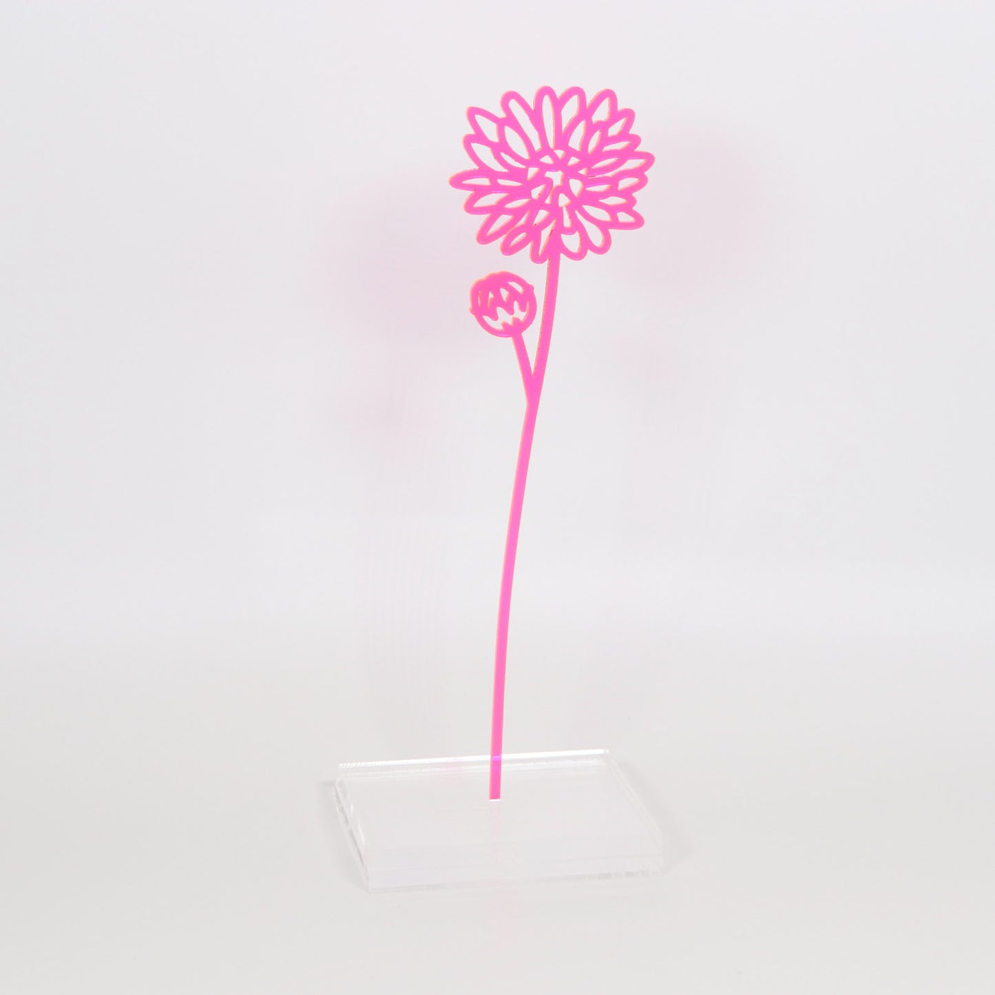 Flowers by the Stem - Translucent