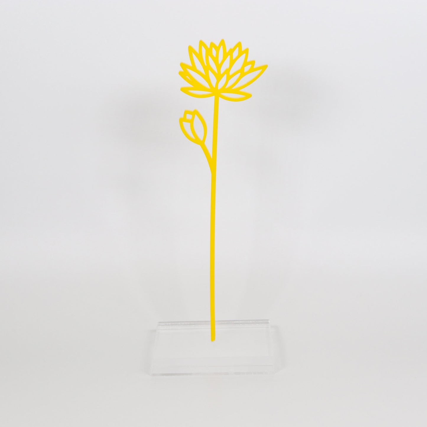 Flowers by the Stem - Opaque
