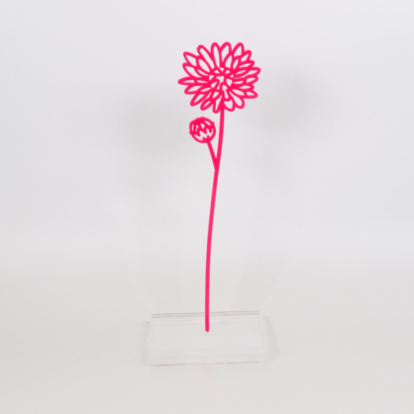 Flowers by the Stem - Opaque